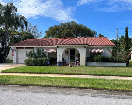 11401 Stansberry Drive, Port Richey