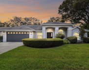 12806 Wallingford Drive, Tampa image