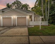 12405 Hollybrook Lane, Hudson image