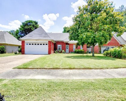 7748 Keely Cove, Olive Branch