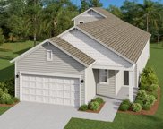 3175 Raven Trace, Green Cove Springs image