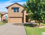 1233 Fawn Lily Drive, Temple image