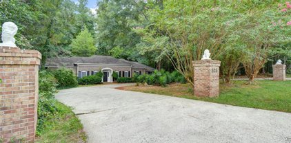 525 Hollyberry Drive, Roswell