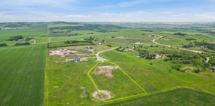 292091 Crocus Meadows Place W, Foothills County