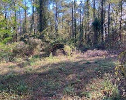 120 Grace Lane, Summerville