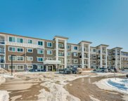 450 Sage Valley Drive Nw Unit 1103, Calgary image