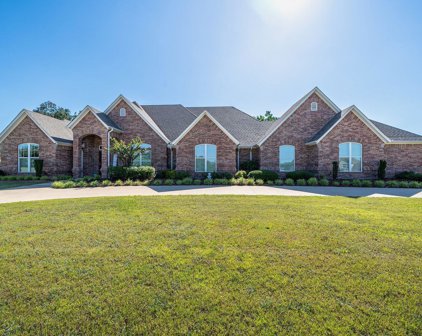 21822 Syrah Ln, Tyler
