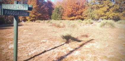 TBD Pagosa Lane, Holly Lake Ranch