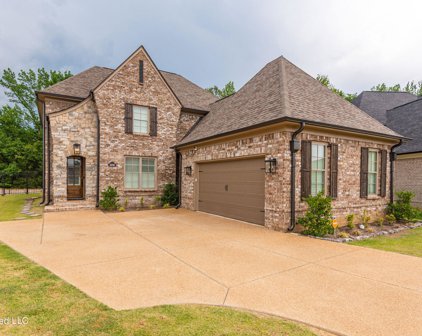 4318 Piland Park Cove, Olive Branch