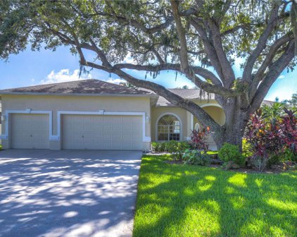 4405 Blantyre Place, Valrico