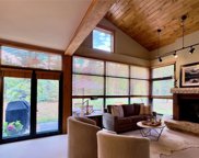 261 Alpen Rose  Place Unit 8716, Keystone image