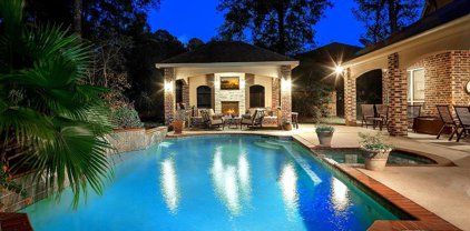 27707 Braydon Court, Spring