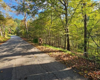 Willow Branch  Rd, Boones Mill