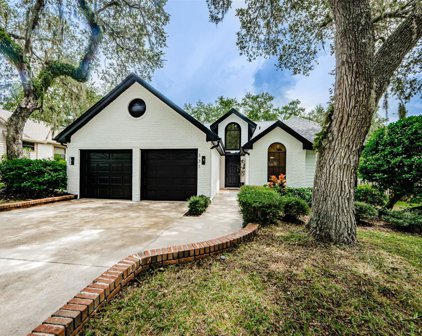 331 Cascade Lane, Palm Harbor