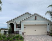 181 Caryota  Court, New Smyrna Beach image