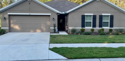 5216 Diantha Way, Brooksville