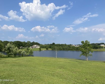 Lot 38 Susan Cooley Road, Lucedale