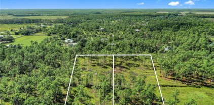 21091 Six Ls Farm Rd, Estero