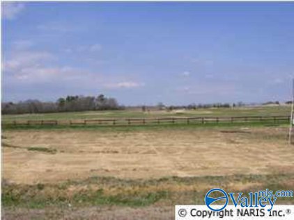 685 Cochran Avenue, Albertville