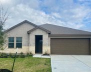 136 Little Springs Court, Anahuac image