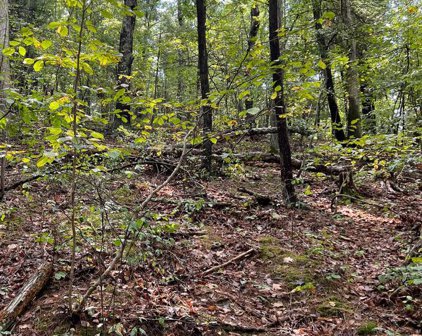 Somers Lane, Berkeley Springs