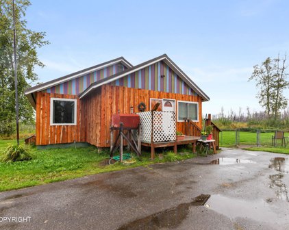 61709 S Parks Highway, Willow