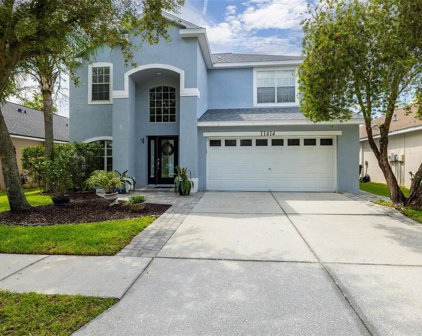 11414 Cypress Reserve Drive, Tampa