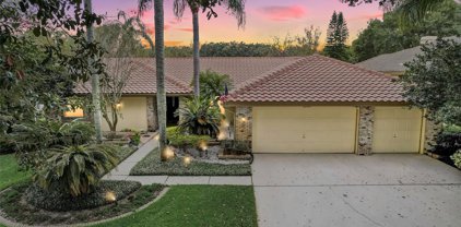 2194 Pinnacle Circle N, Palm Harbor