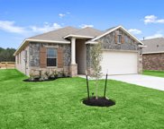 313 Big Spring Drive, Anahuac image