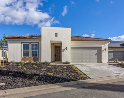113 Morello Drive, Brentwood