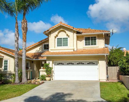 3265 Viscaya, Oceanside
