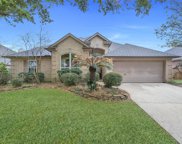 1314 Serene Trail, Tomball image