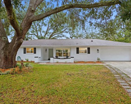 2556 Lake Ellen Circle, Tampa