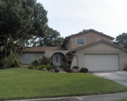 4117 Hollow Hill Drive, Tampa