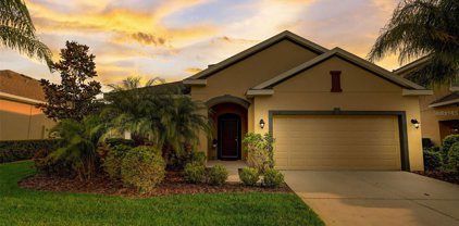 33132 Whisper Pointe Drive, Wesley Chapel