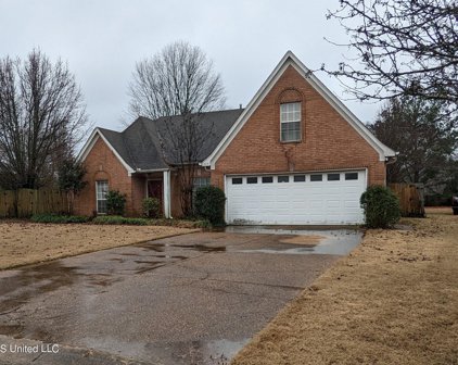 13091 Claybourne Cove, Olive Branch