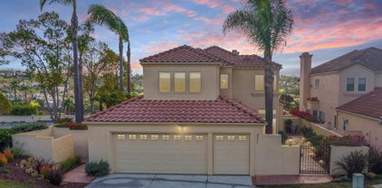 2895 Torry Ct, Carlsbad