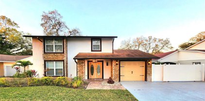 3117 W Burke Street, Tampa