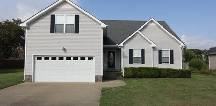 1201 Snoopy Dr, Clarksville