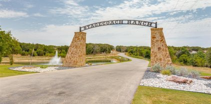 1101 Stagecoach Ranch  Drive, Weatherford