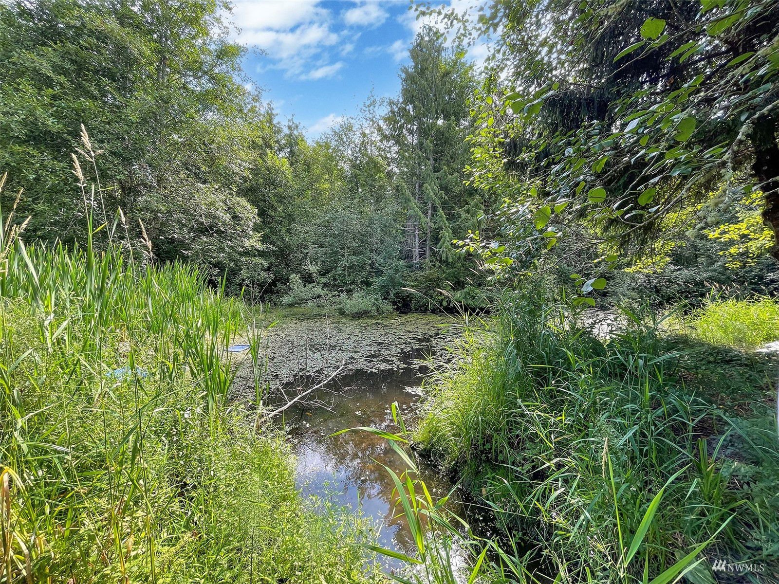 2423 Eden Valley Road, Port Angeles MLS 1981854 Skyline Properties, Inc. Newest Eden Listings