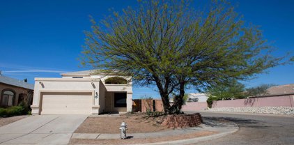 10041 E Paseo San Ardo, Tucson