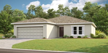 33870 Sky Blossom Circle, Leesburg