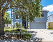 13502 Small Mouth Way, Riverview image