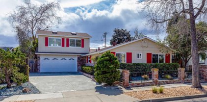 938 Leighton Way, Sunnyvale