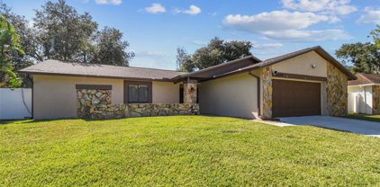 16104 Country Crossing Dr, Tampa