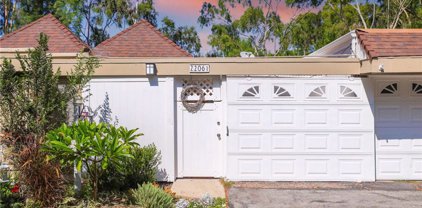 22061 Caminito Amor, Laguna Hills