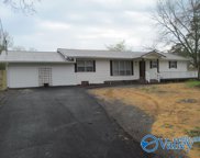 2834 George Wallace Drive, Albertville image