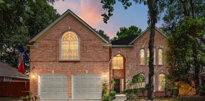 64 Terraglen Drive, The Woodlands