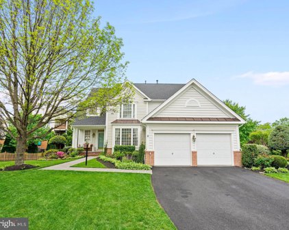 42023 Glass Mountain Pl, Aldie